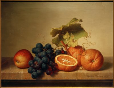 Natura morta di frutta su lastra di marmo da Johann Wilhelm Preyer